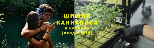 крисы Магадан