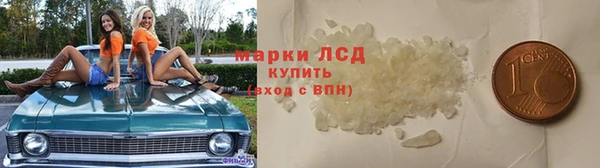 крисы Магадан