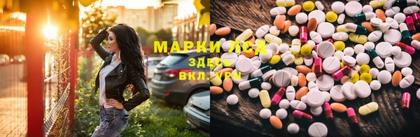 крисы Магадан