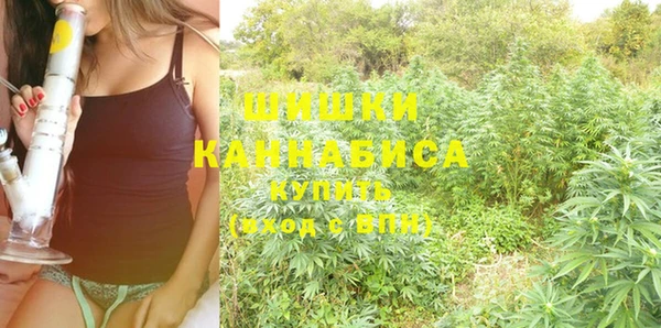 крисы Магадан